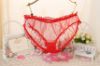 Mesh Panties with Ruffle Trim