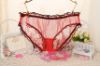 Mesh Panties with Ruffle Trim