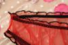 Mesh Panties with Ruffle Trim