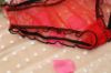 Mesh Panties with Ruffle Trim