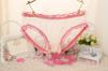 Mesh Panties with Ruffle Trim