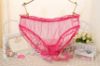 Mesh Panties with Ruffle Trim