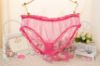 Mesh Panties with Ruffle Trim