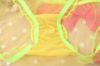 Mesh Panties with Ruffle Trim