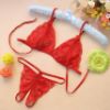 Lace Bra and G-String Set with Slits