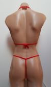 Micro Lace Top and Mesh G-String Bikini