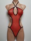 Mesh One-Piece Swimsuit/Teddy