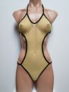 Mesh One-Piece Swimsuit/Teddy