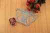 Sheer Lace Panties with Butterflies