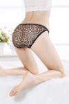 Sheer Lace Panties with Butterflies